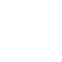 LKW Icon